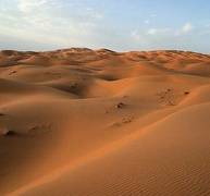 El desierto crece: seguimos sin soluciones, el problema continúa