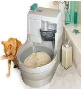 Inventan un retrete especial para gatos