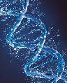 “Explorando los genes”: divulgación de gran estilo sobre el secreto de la vida