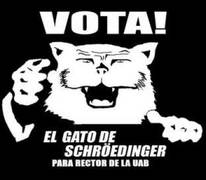 Sé un genio: vota a un gato