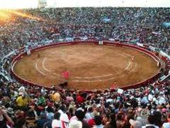 Los toros: una forma de vivir, entender, explicar el mundo