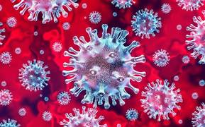 Coronavirus: lo que ni autoridades ni medios nos cuentan